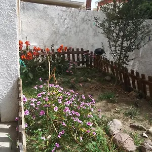  Casa vacanze Orchidea House Italia